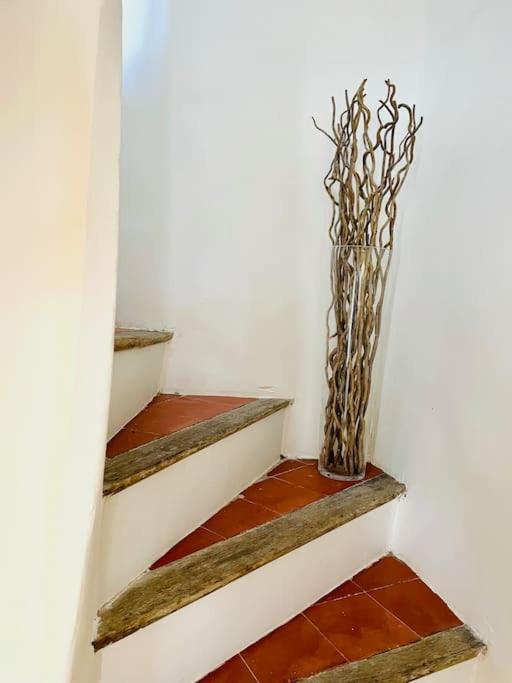 Maison Charmante Avec Terrasse, 2 Chambres Marseillan  Esterno foto
